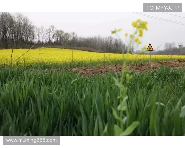 北京28最新开奖结果今日公布,速来查看幸运号码 北京28最新开奖结果今日公布,速来查看幸运号码